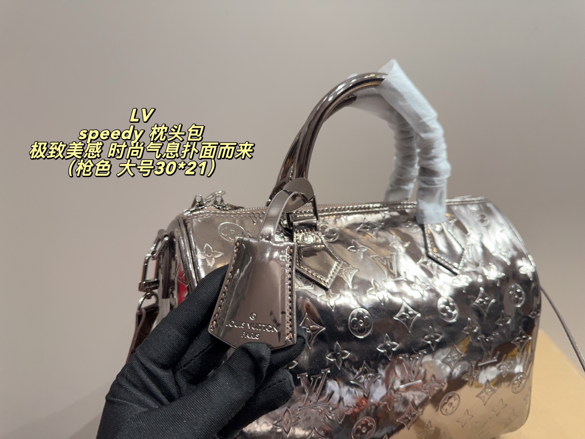 LV Speedy Pillow Bag