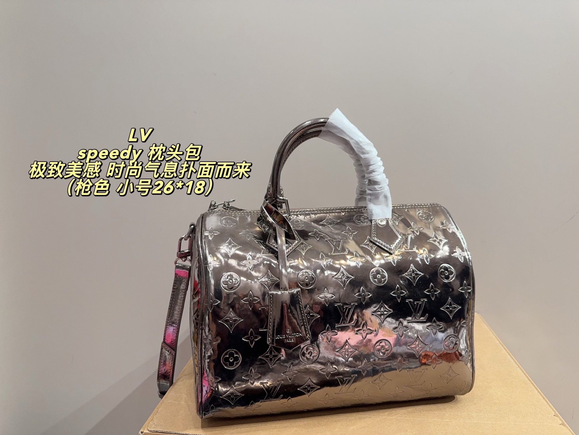 LV Speedy Pillow Bag