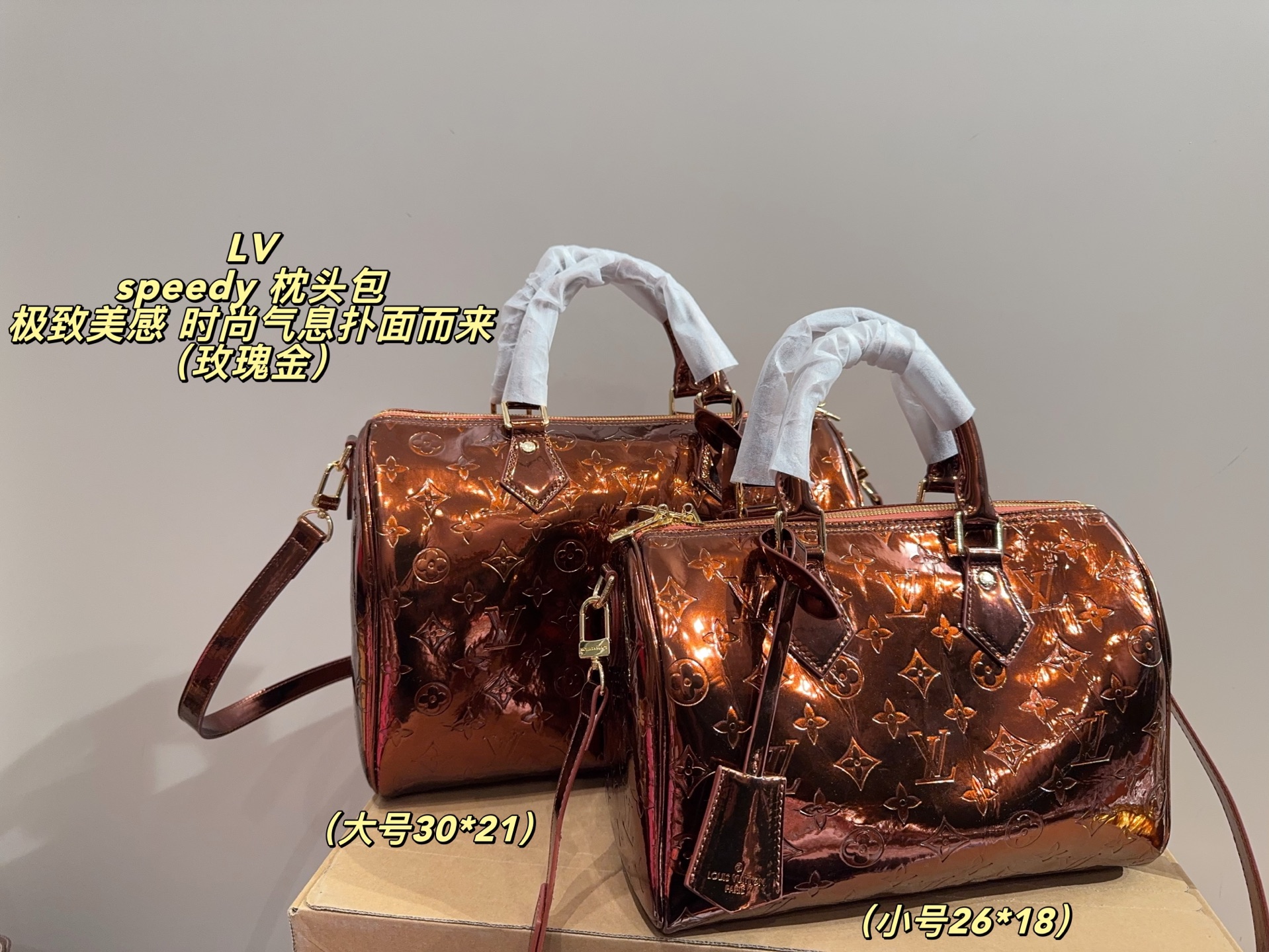 LV Speedy Pillow Bag