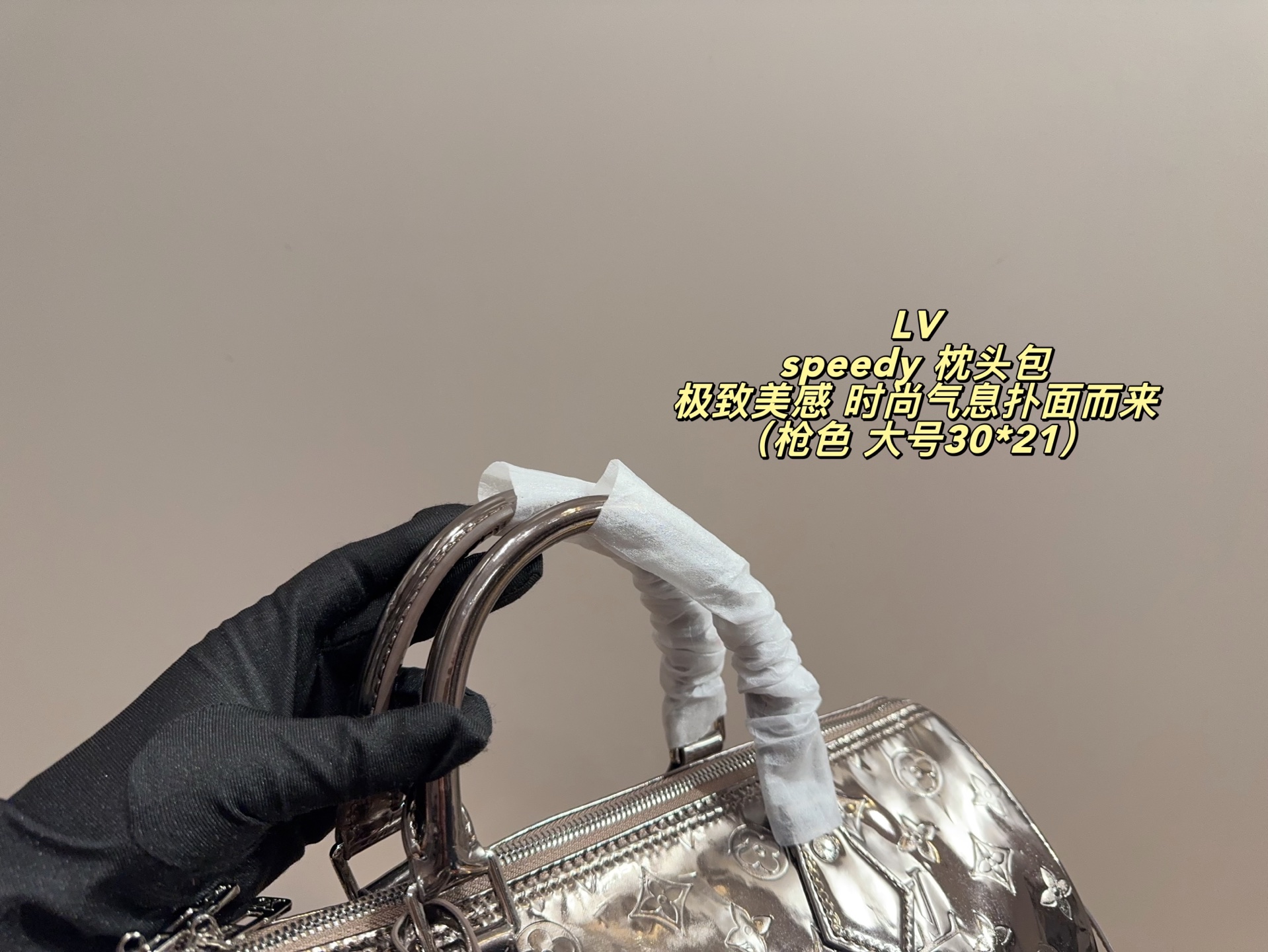 LV Speedy Pillow Bag