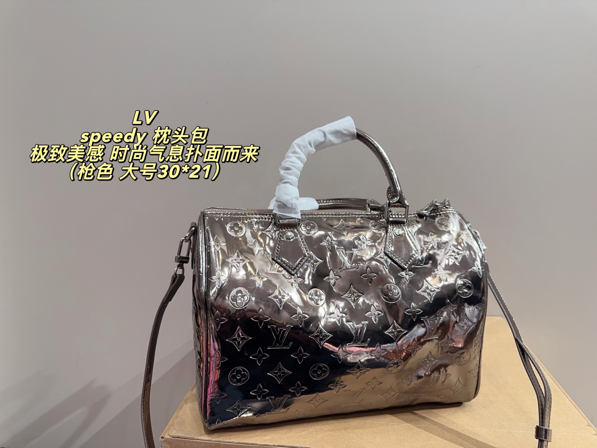 LV Speedy Pillow Bag