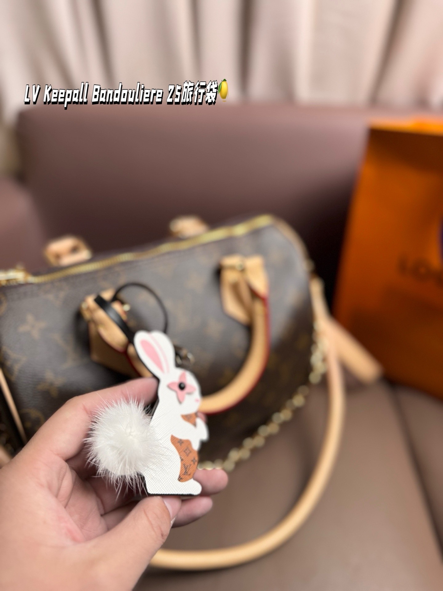 LV Keepall Bandouliere 25 travel bag