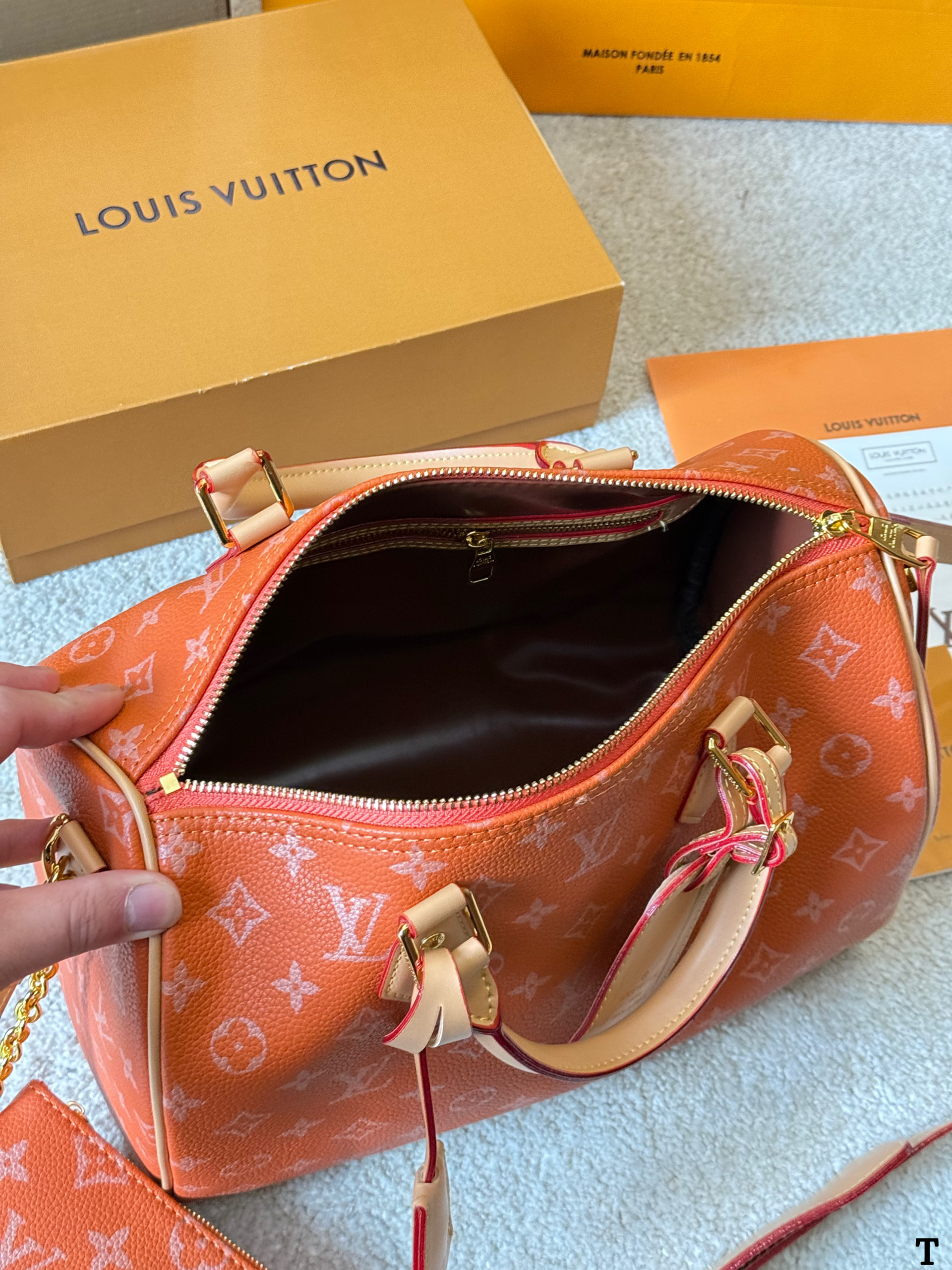 Louis Vuitton NanoSpeedy 30 Pillow Bag