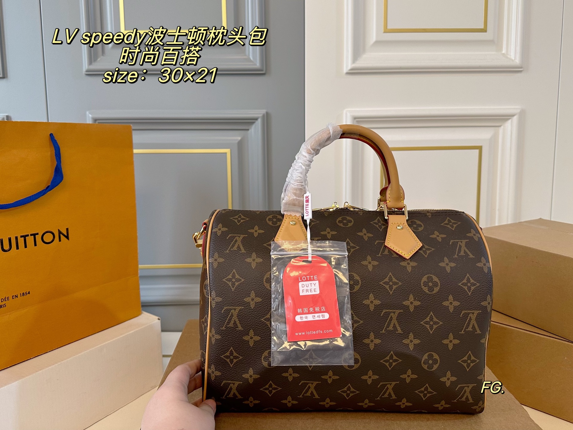 Louis Vuitton Speedy Boston Pillow Bag