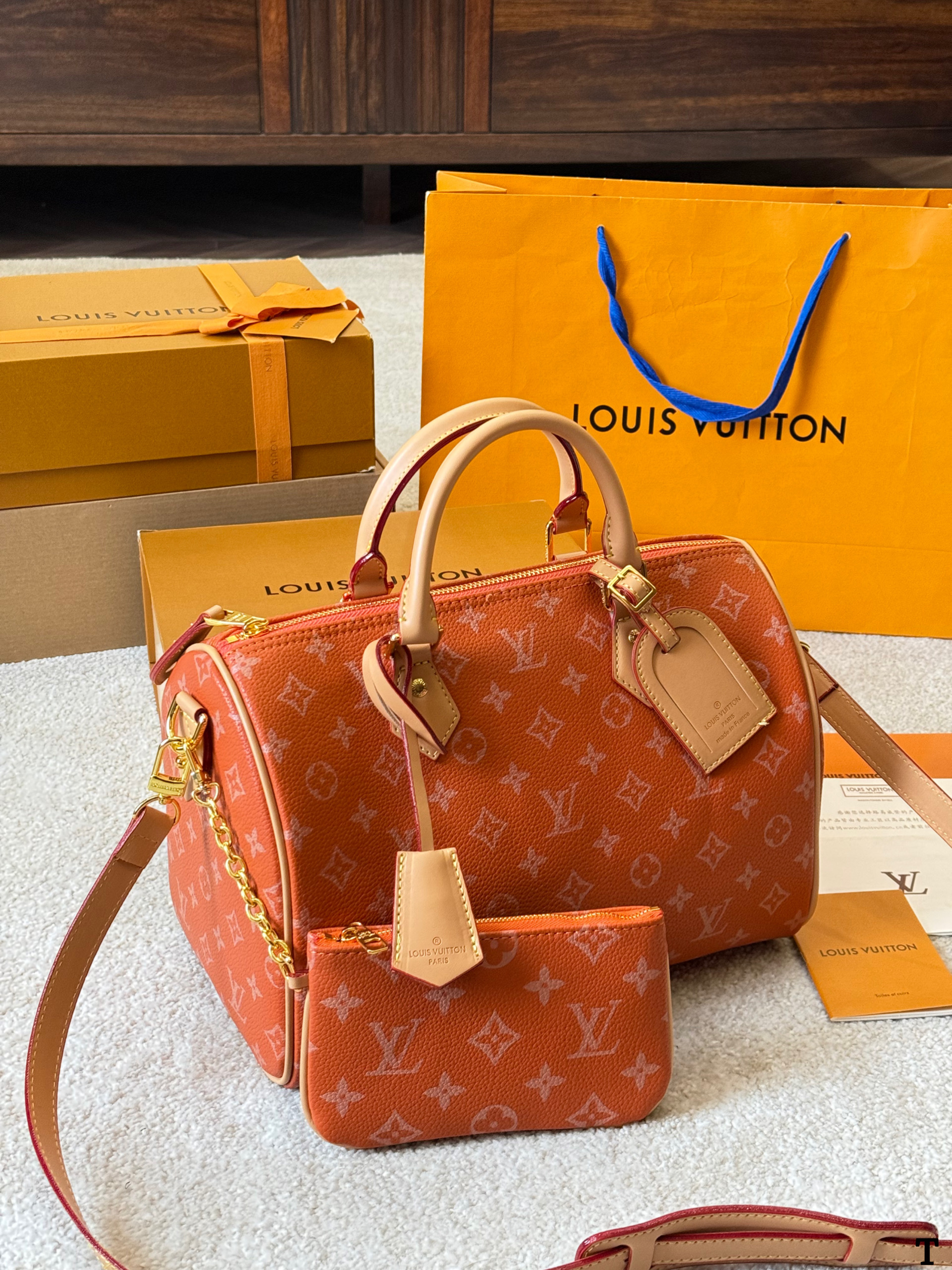 Louis Vuitton NanoSpeedy 30 Pillow Bag