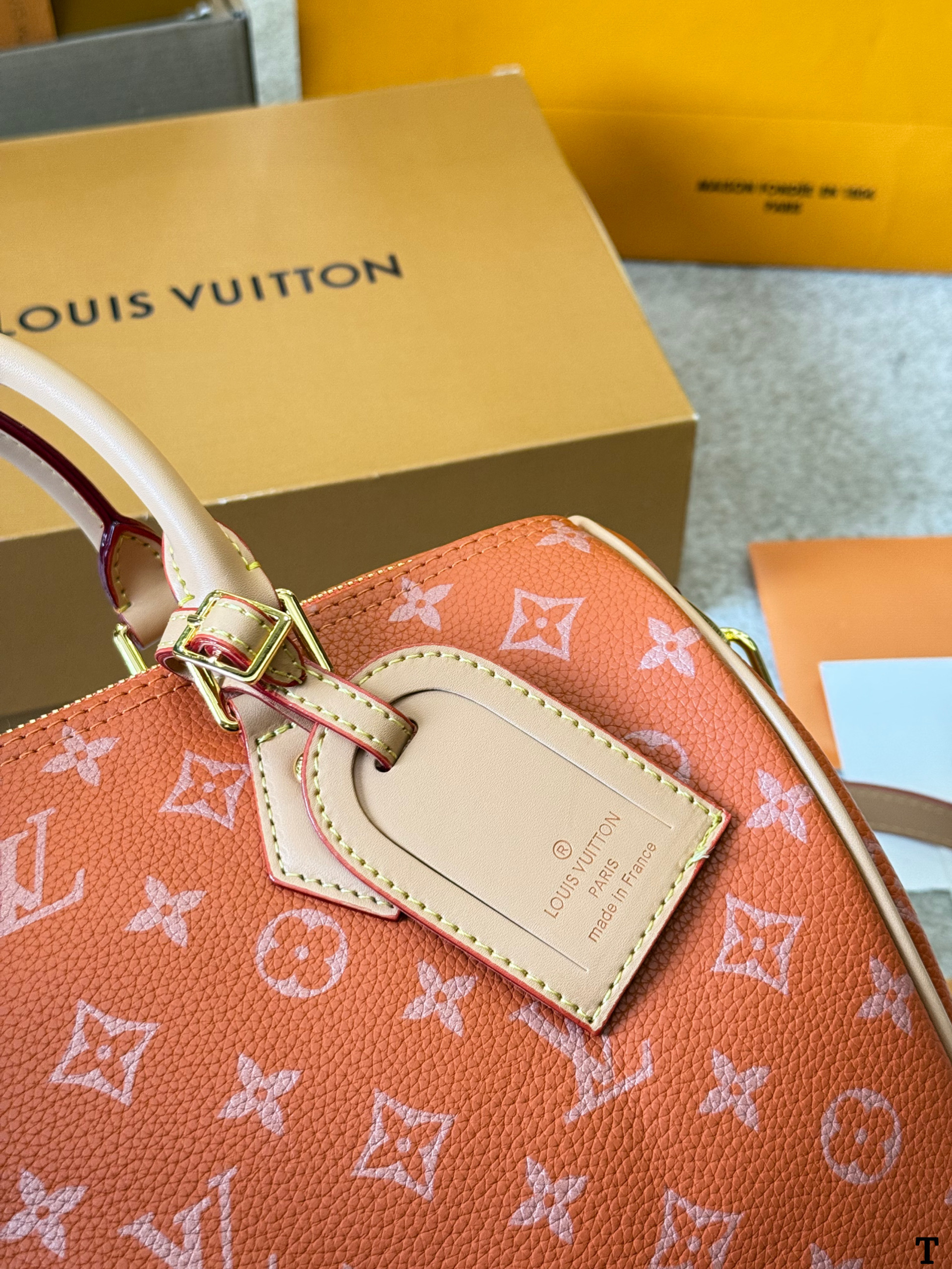 Louis Vuitton NanoSpeedy 30 Pillow Bag