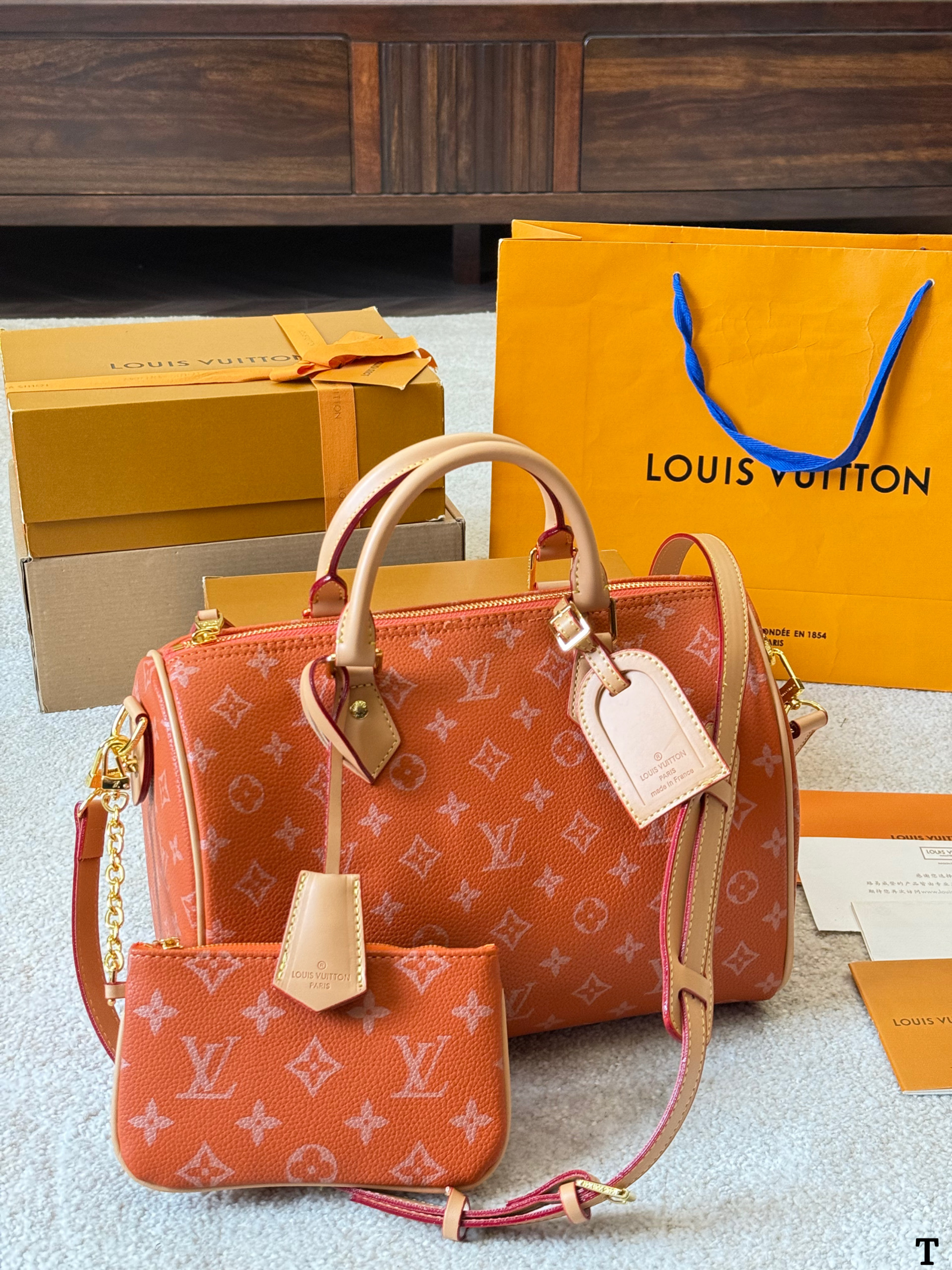 Louis Vuitton NanoSpeedy 30 Pillow Bag