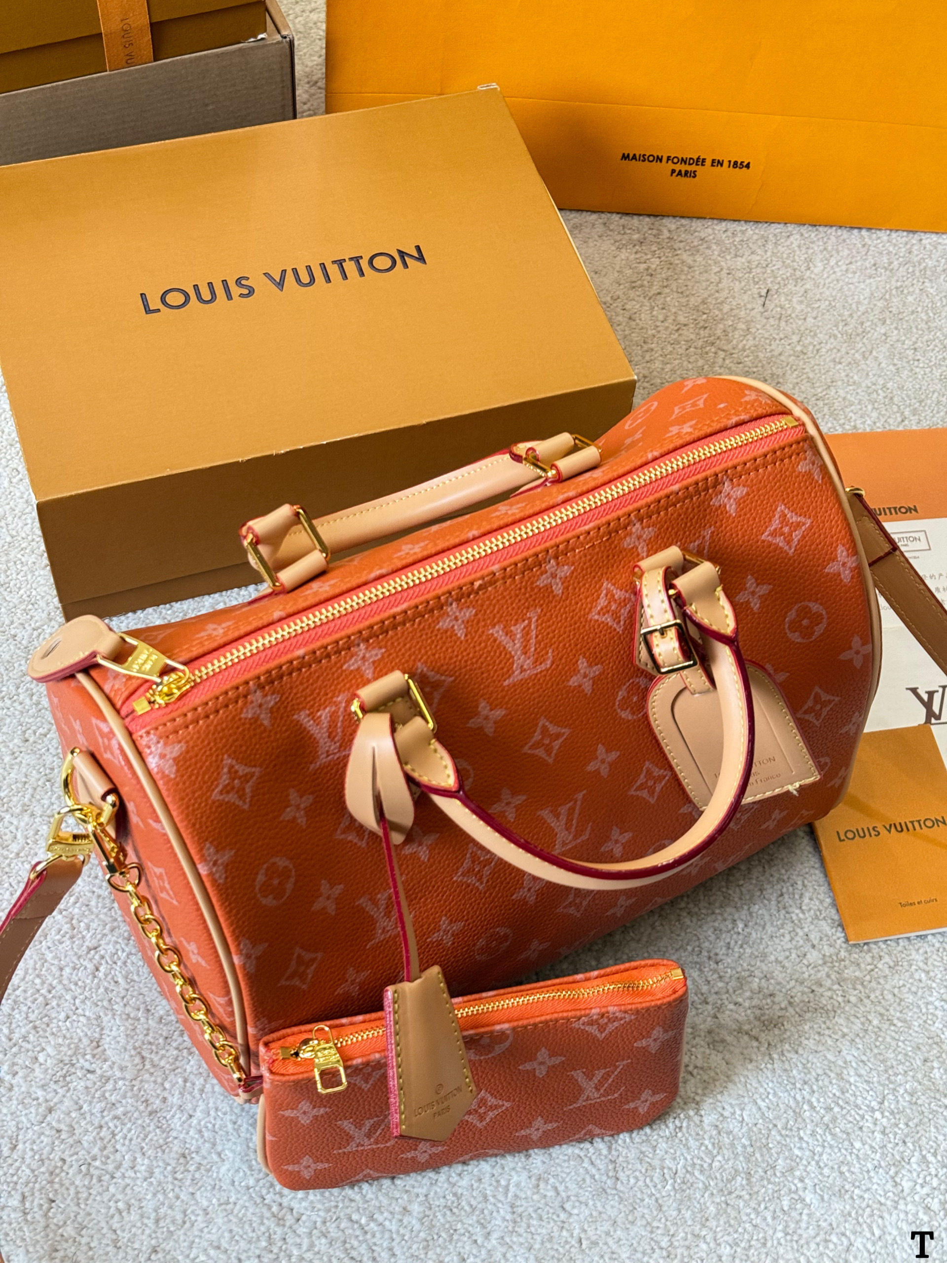 Louis Vuitton NanoSpeedy 30 Pillow Bag