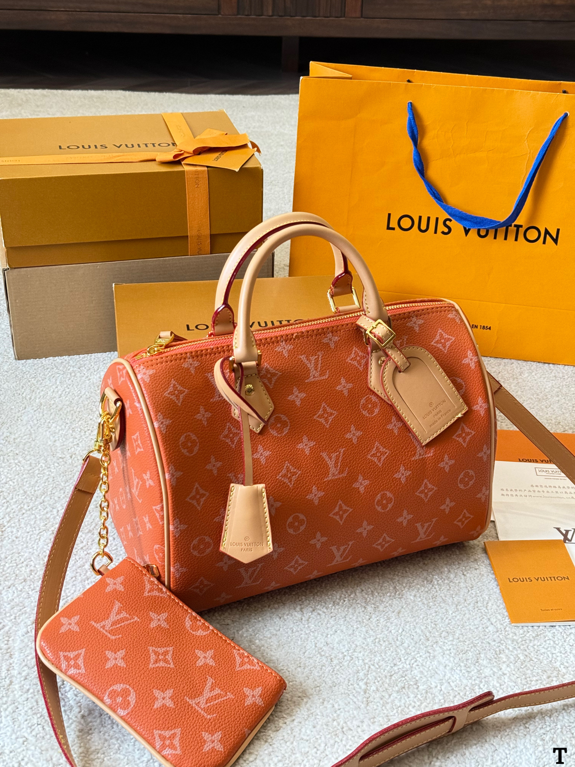 Louis Vuitton NanoSpeedy 30 Pillow Bag