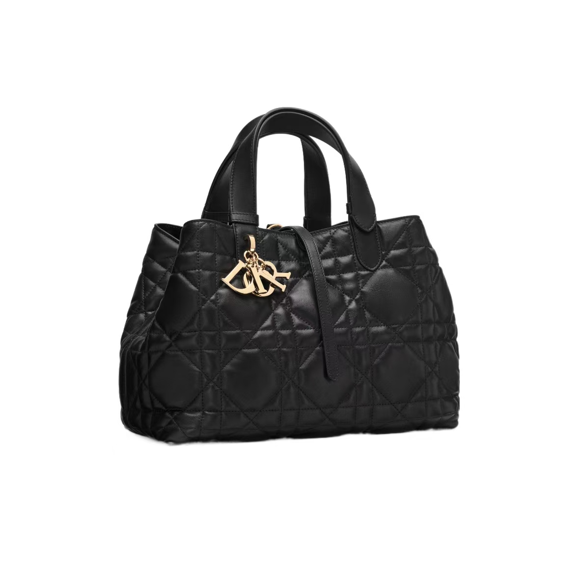 DIOR TOUJOURS MEDIUM BAG IN BLACK CALFSKIN