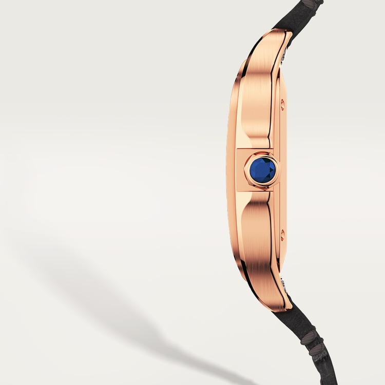 Santos de Cartier watch Medium model Opaline silver dial 35.1 mm