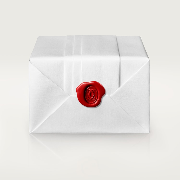 SANTOS-DUMONT WATCH SMALL MODEL