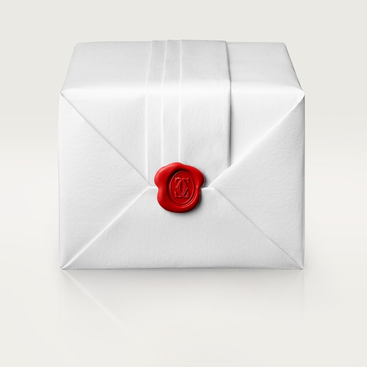 Tank Must watch Extra-large model Silvered flinqué dial 41 mm