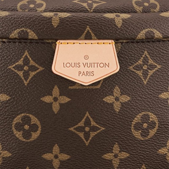 LOUIS VUITTON BUMBAG IN MONOGRAM