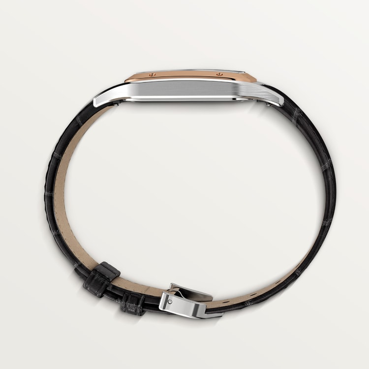 Santos-Dumont watch Large model Satin-brushed silver dial 43.5 mm x 31.4 mm