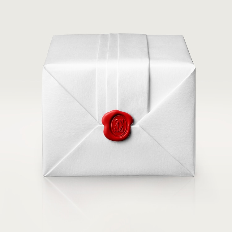 SANTOS DE WATCH MEDIUM MODEL