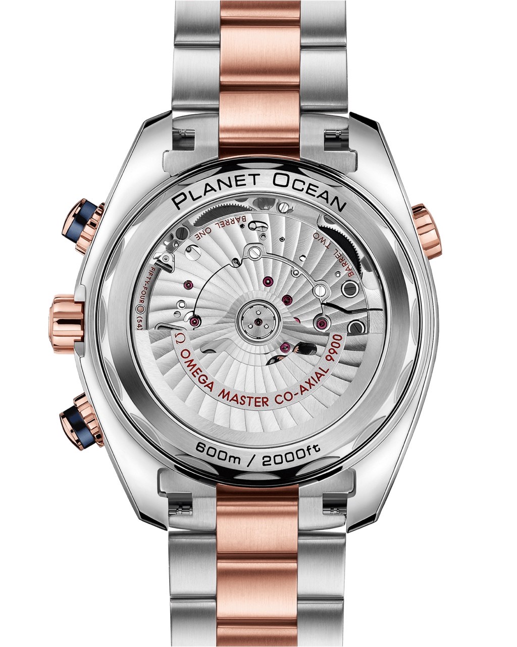 PLANET OCEAN 600M STEEL SEDNA™ GOLD ON STEEL SEDNA™ GOLD 45.5mm