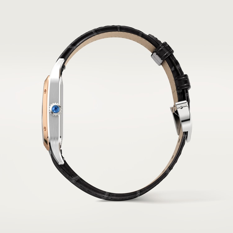 Santos-Dumont watch Small model Satin-brushed silver dial 38 mm x 27.5 mm