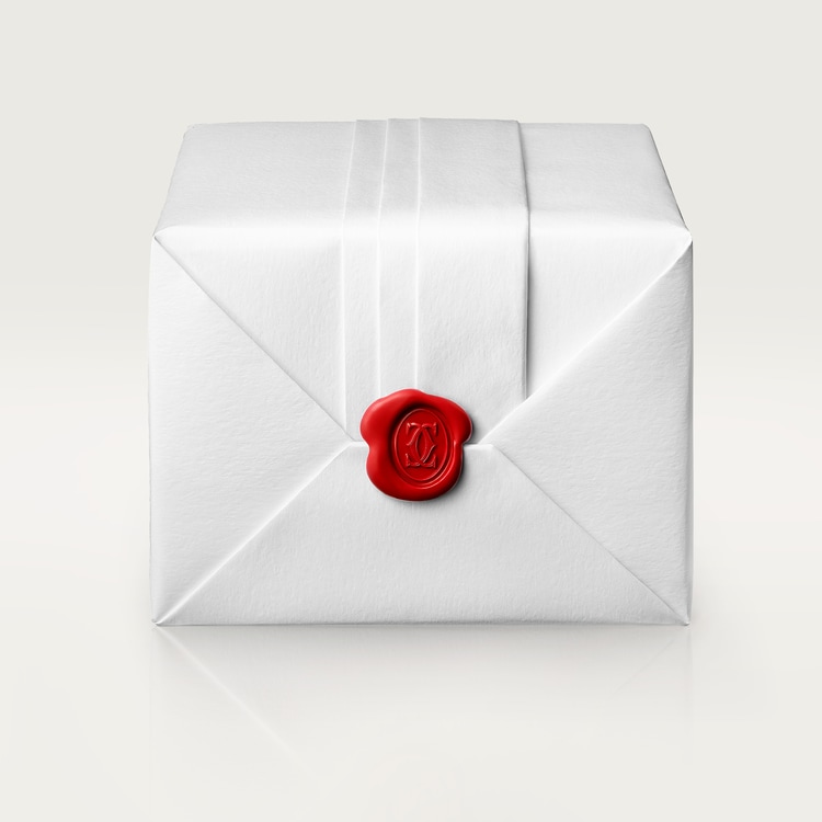 Santos de Cartier watch Medium model Silvered opaline dial 35.1 mm