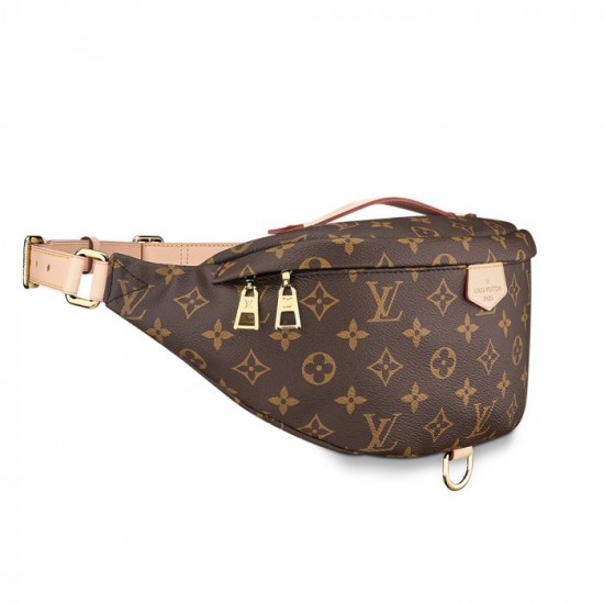 LOUIS VUITTON BUMBAG IN MONOGRAM