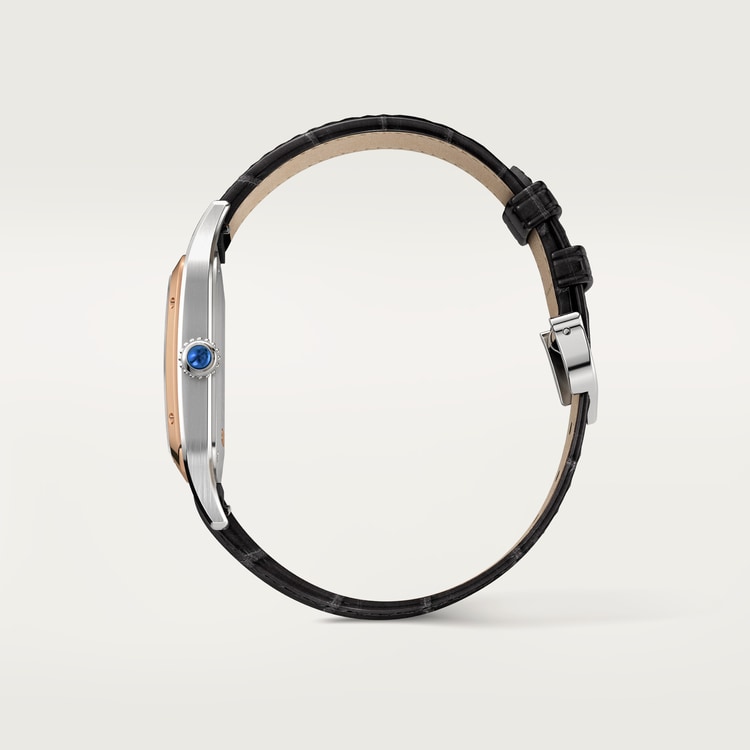 Santos-Dumont watch Large model Satin-brushed silver dial 43.5 mm x 31.4 mm