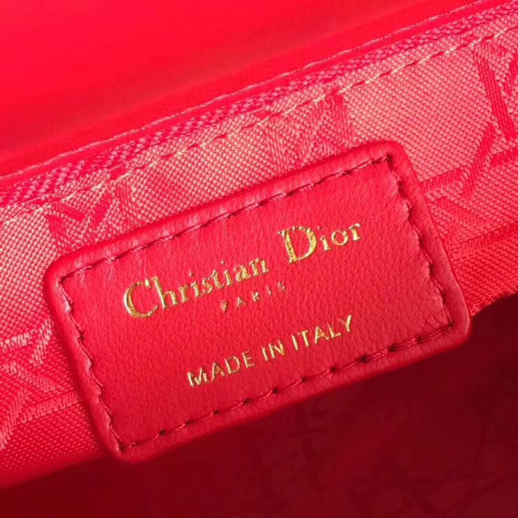 Dior Mini Lady Dior Bag