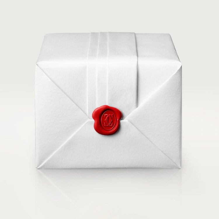 TANK   WATCH large model