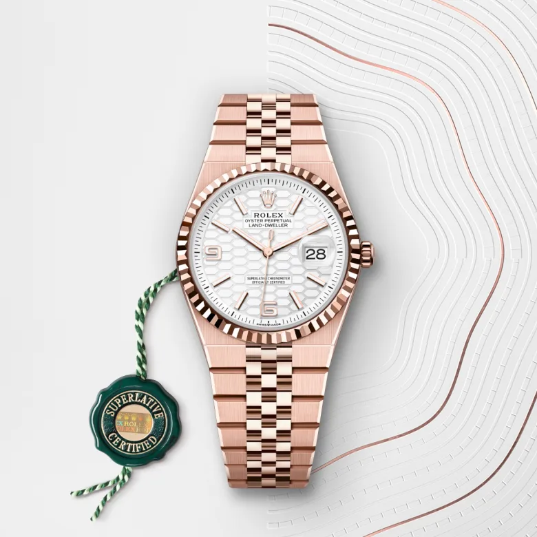 Rolex Land-Dweller 36 36 mm, 18 kt Everose gold