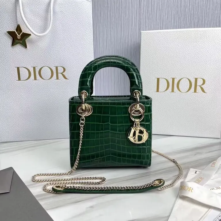 Dior bag - LITELUX