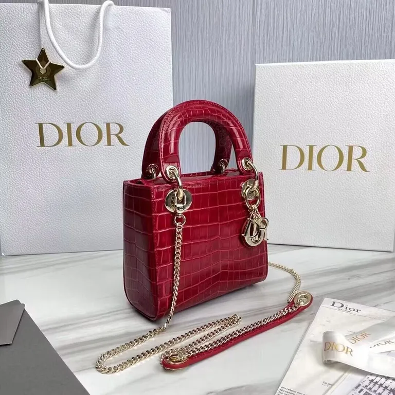Dior bag - LITELUX