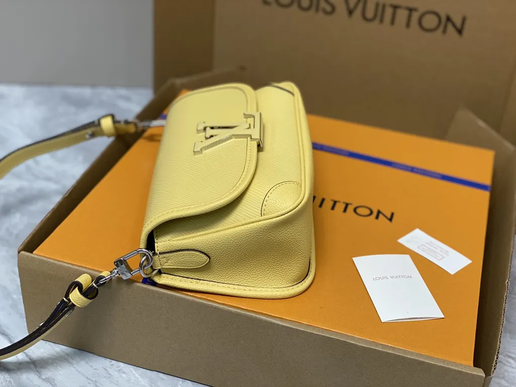 Louis Vuitton bag - LITELUX