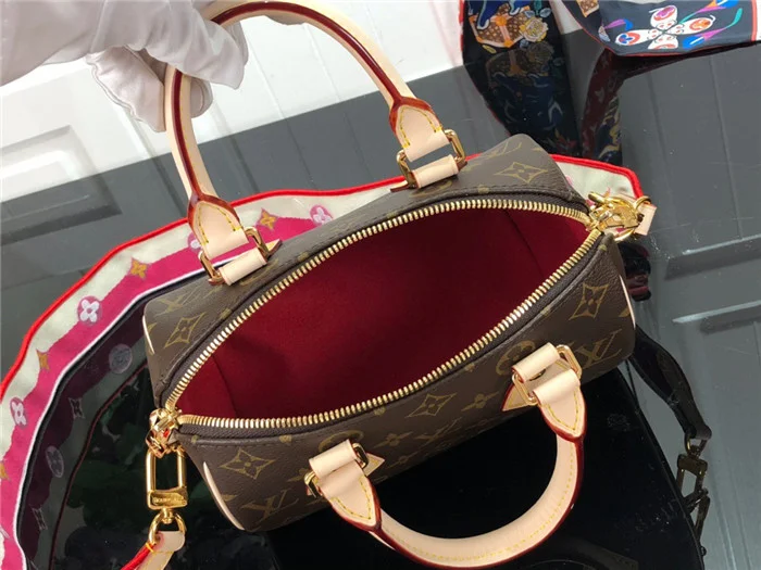 Louis Vuitton Bag - LITELUX