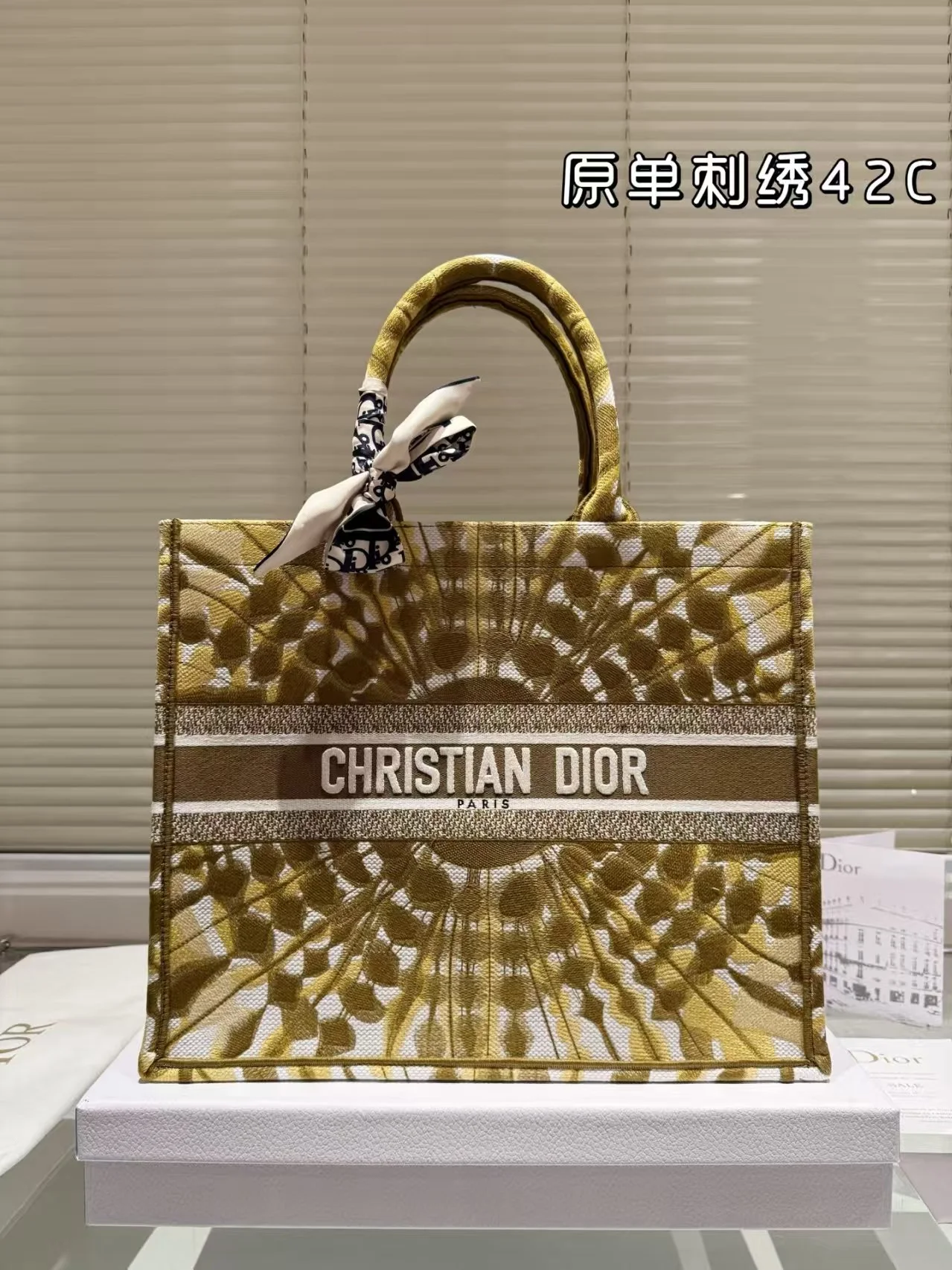 2025 Dior book tote - LITELUX