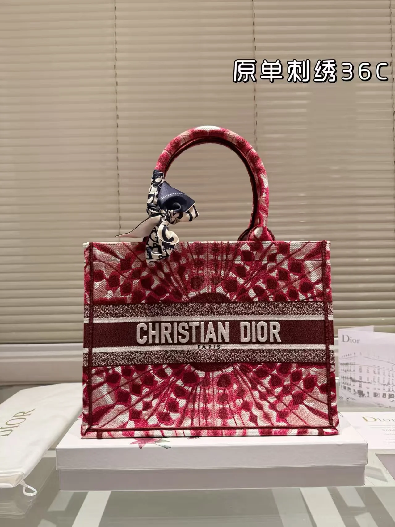 2025 Dior book tote - LITELUX