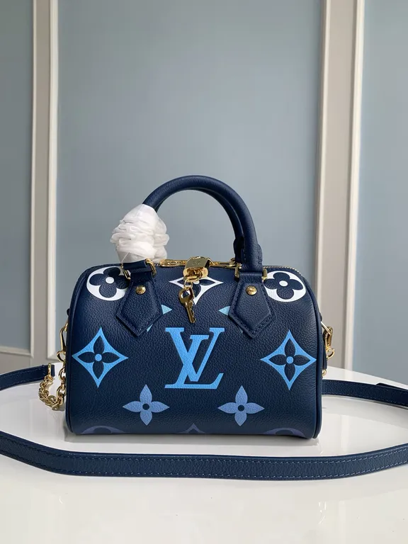 Louis Vuitton bag - LITELUX