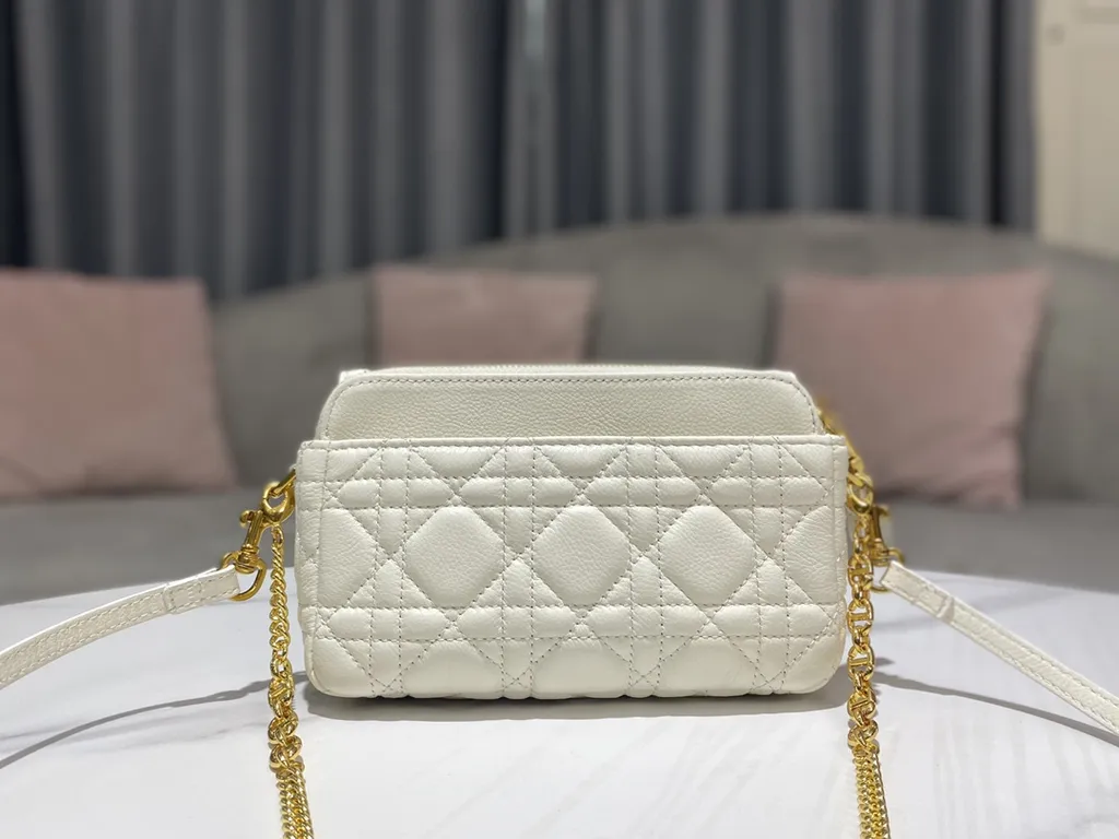 Dior bag - LITELUX