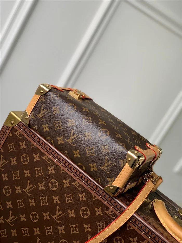 Louis Vuitton Bag - LITELUX