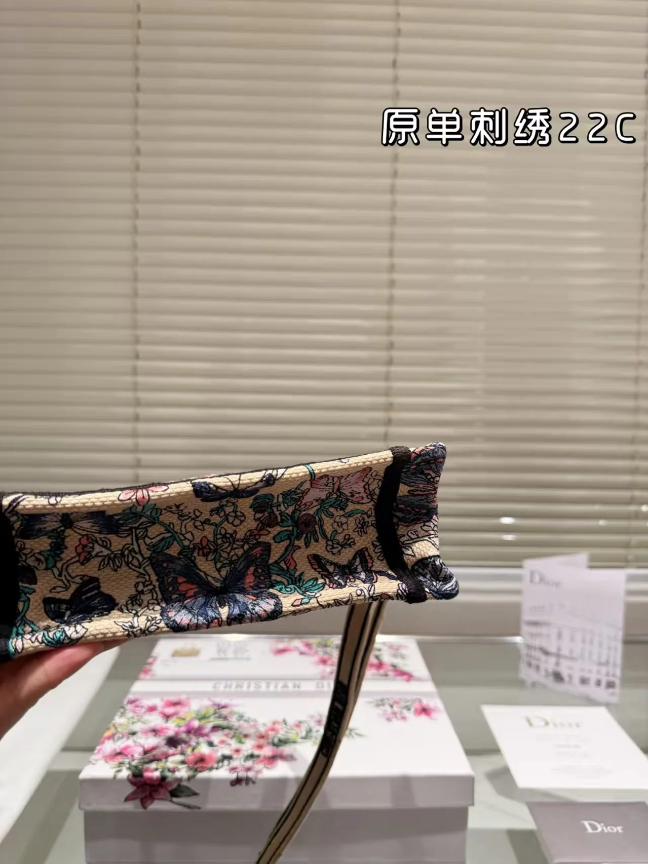 2025 Dior book tote - LITELUX