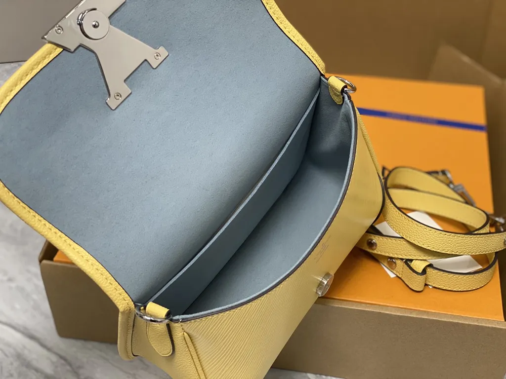 Louis Vuitton bag - LITELUX