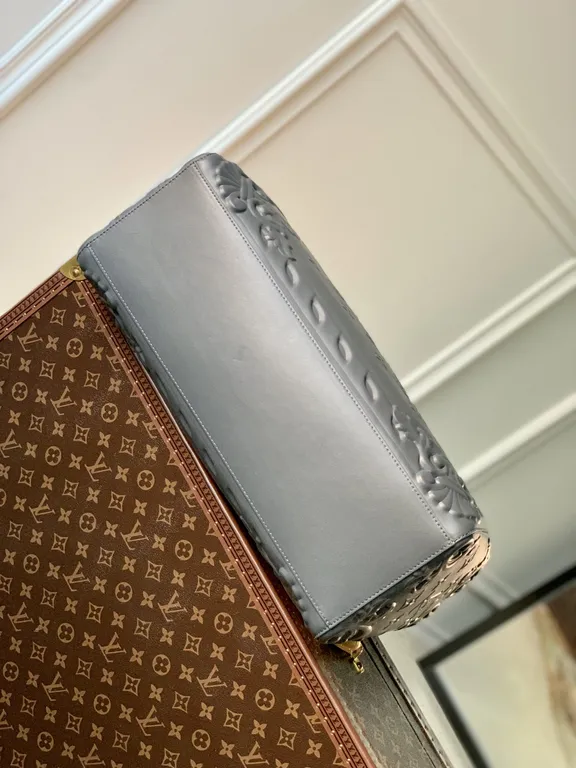 Louis Vuitton bag - LITELUX