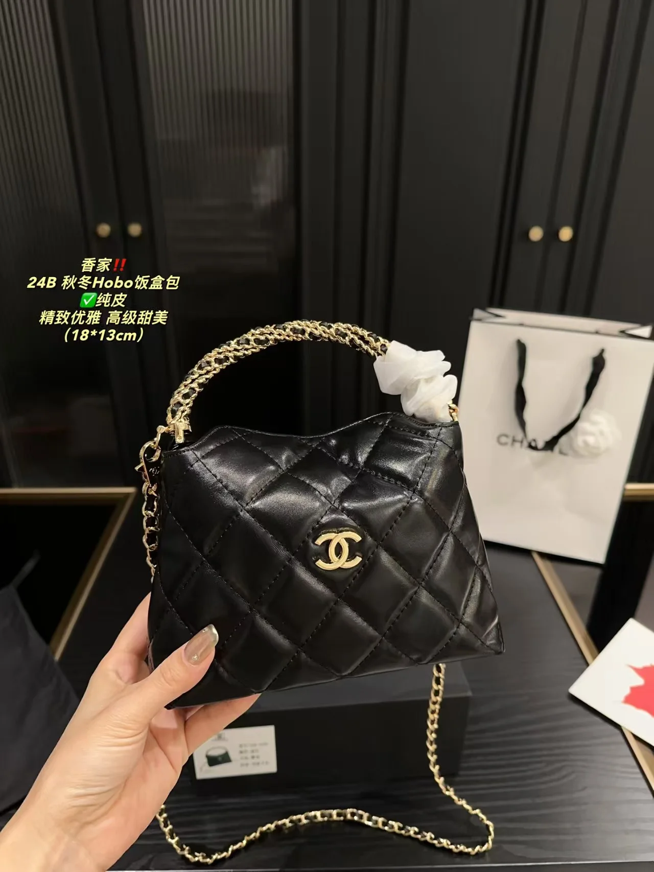 2024 Chanel bag hobo - LITELUX