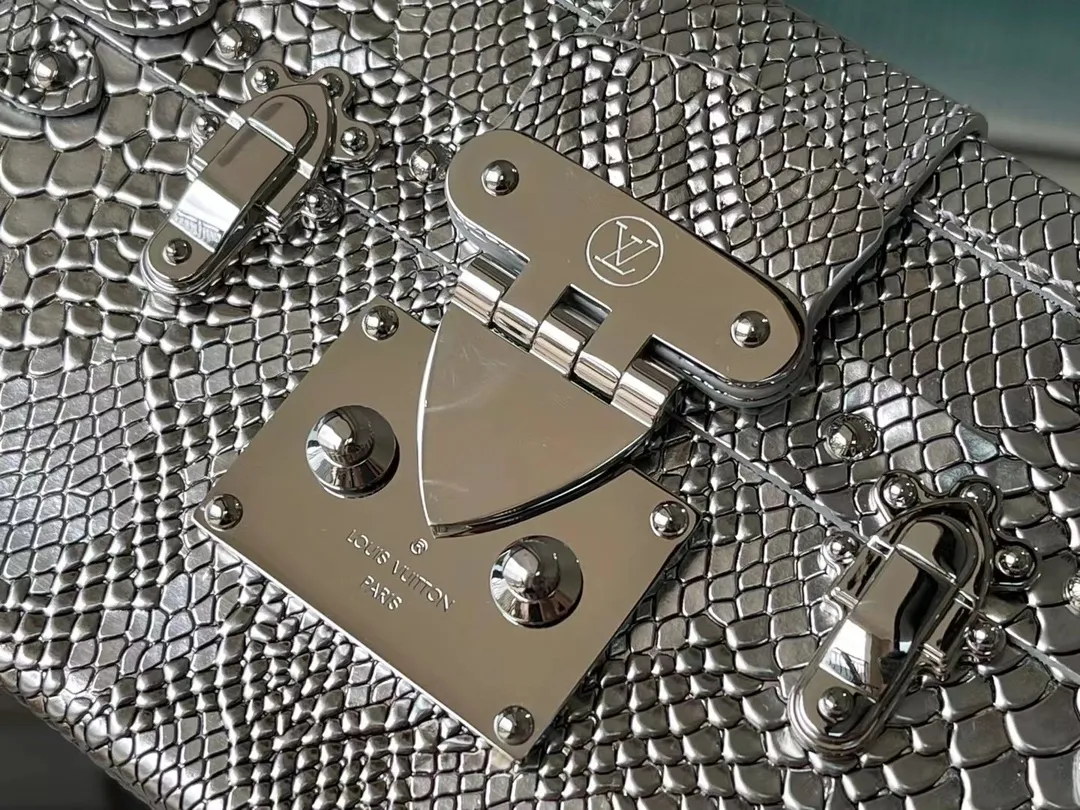 Louis Vuitton bag - LITELUX