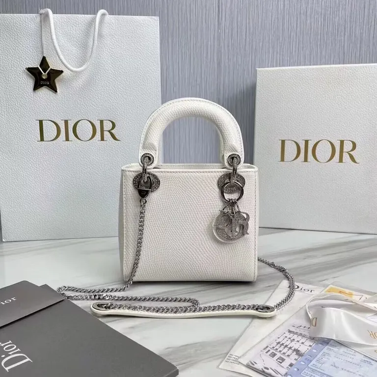 Dior bag - LITELUX