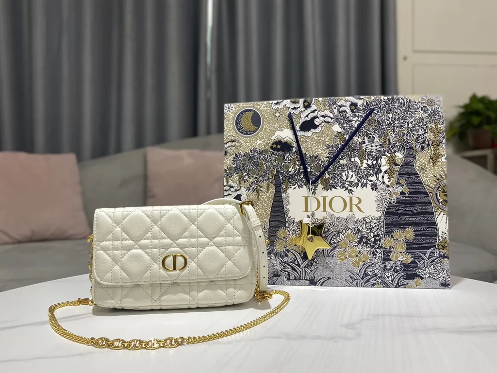 Dior bag - LITELUX