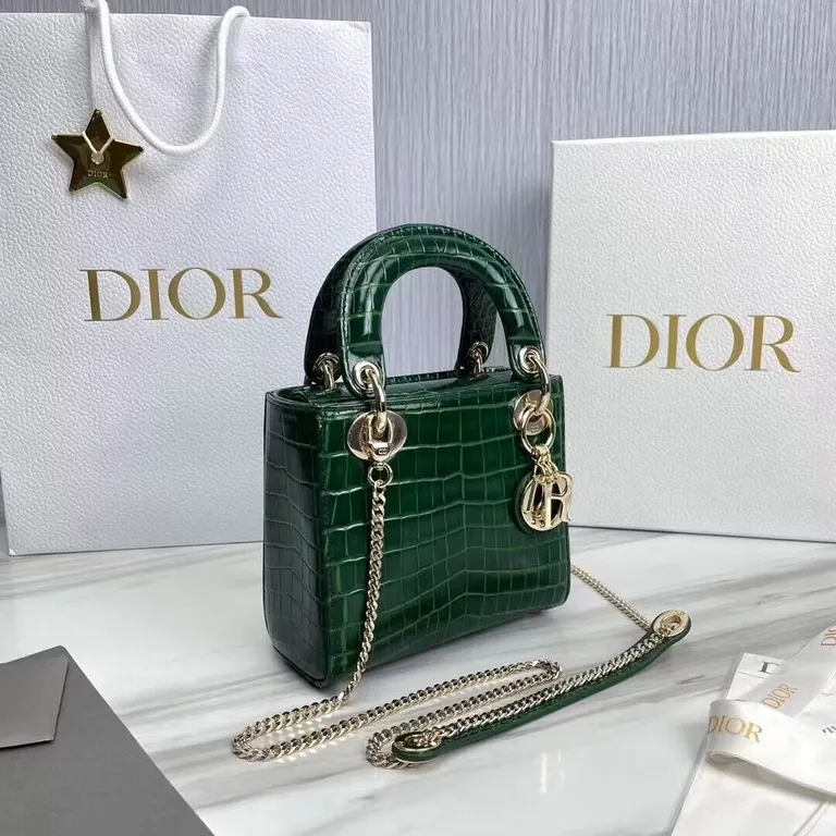 Dior bag - LITELUX