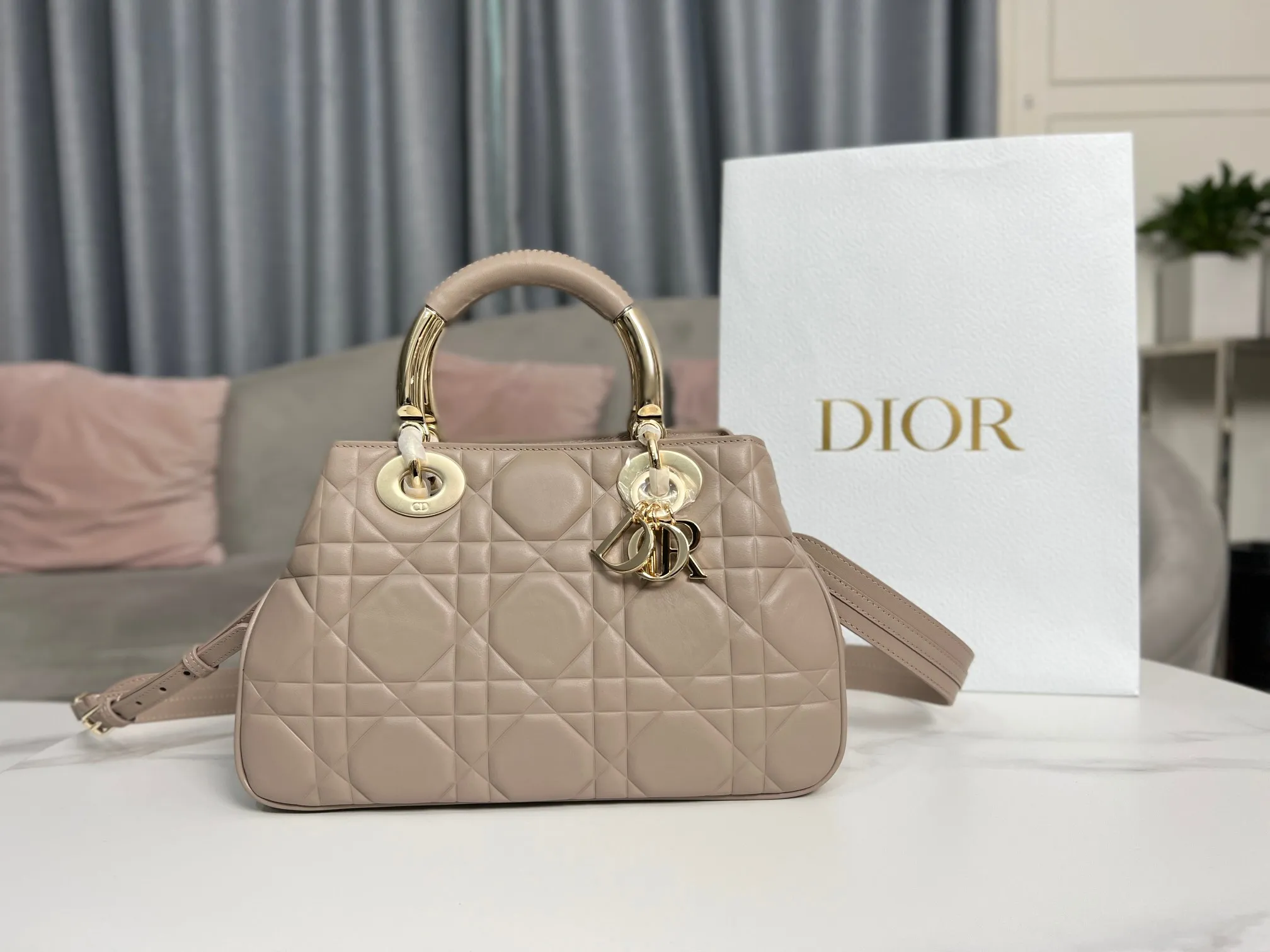 Dior bag - LITELUX