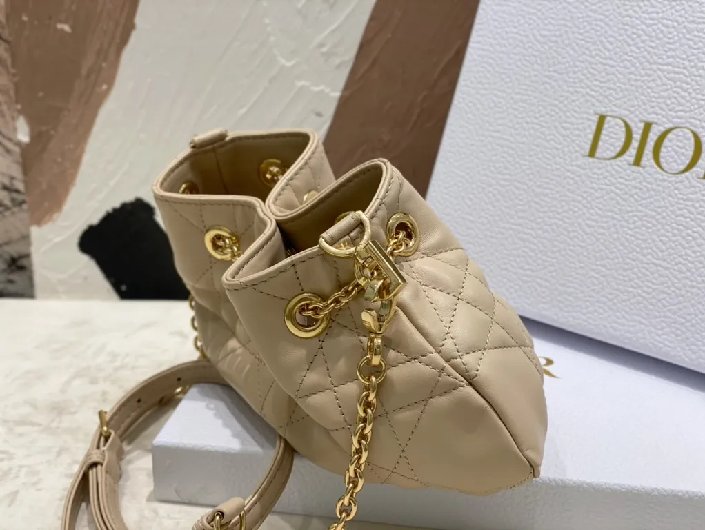 Dior bag - LITELUX
