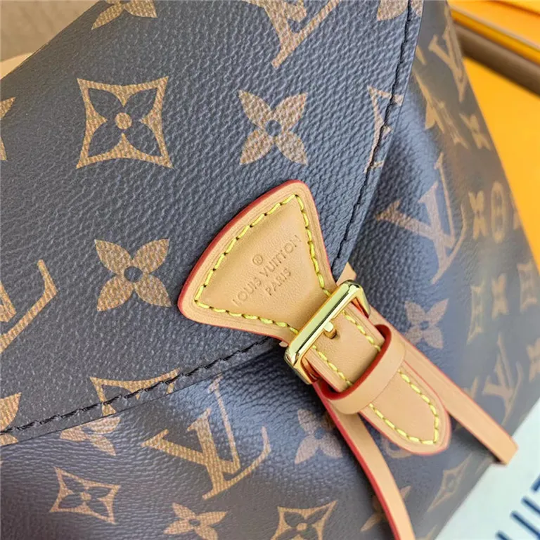 Louis Vuitton Backpack - LITELUX