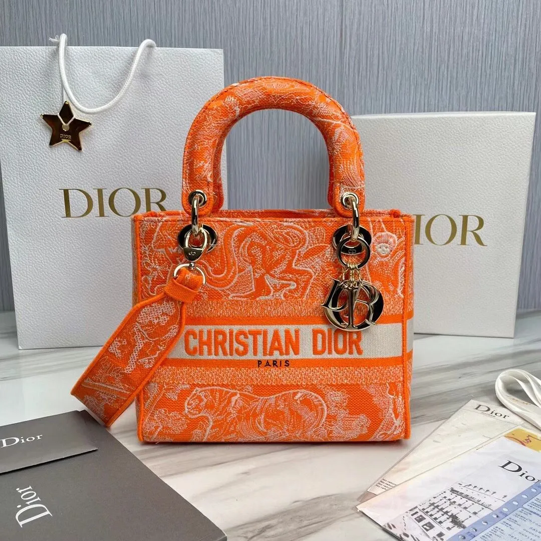 Dior bag - LITELUX