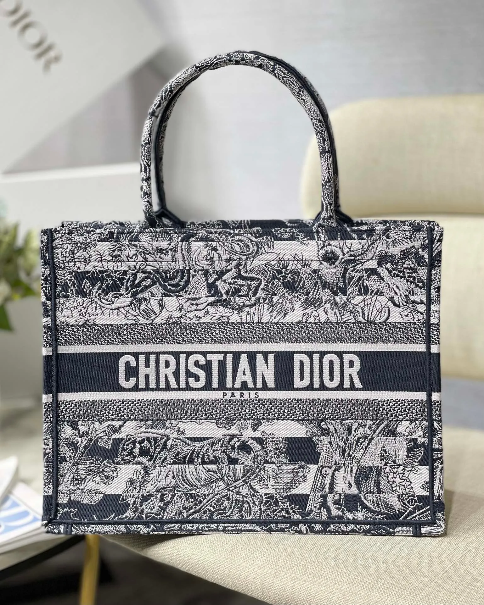 Dior Bag  – 113170121 - LITELUX
